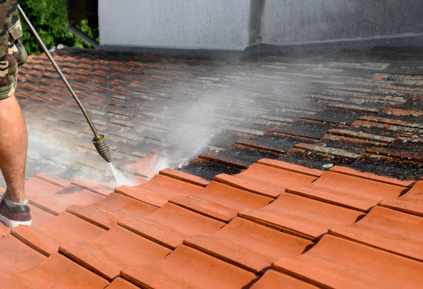 Best Roof Power Washing Services  in Red Bluff, CA